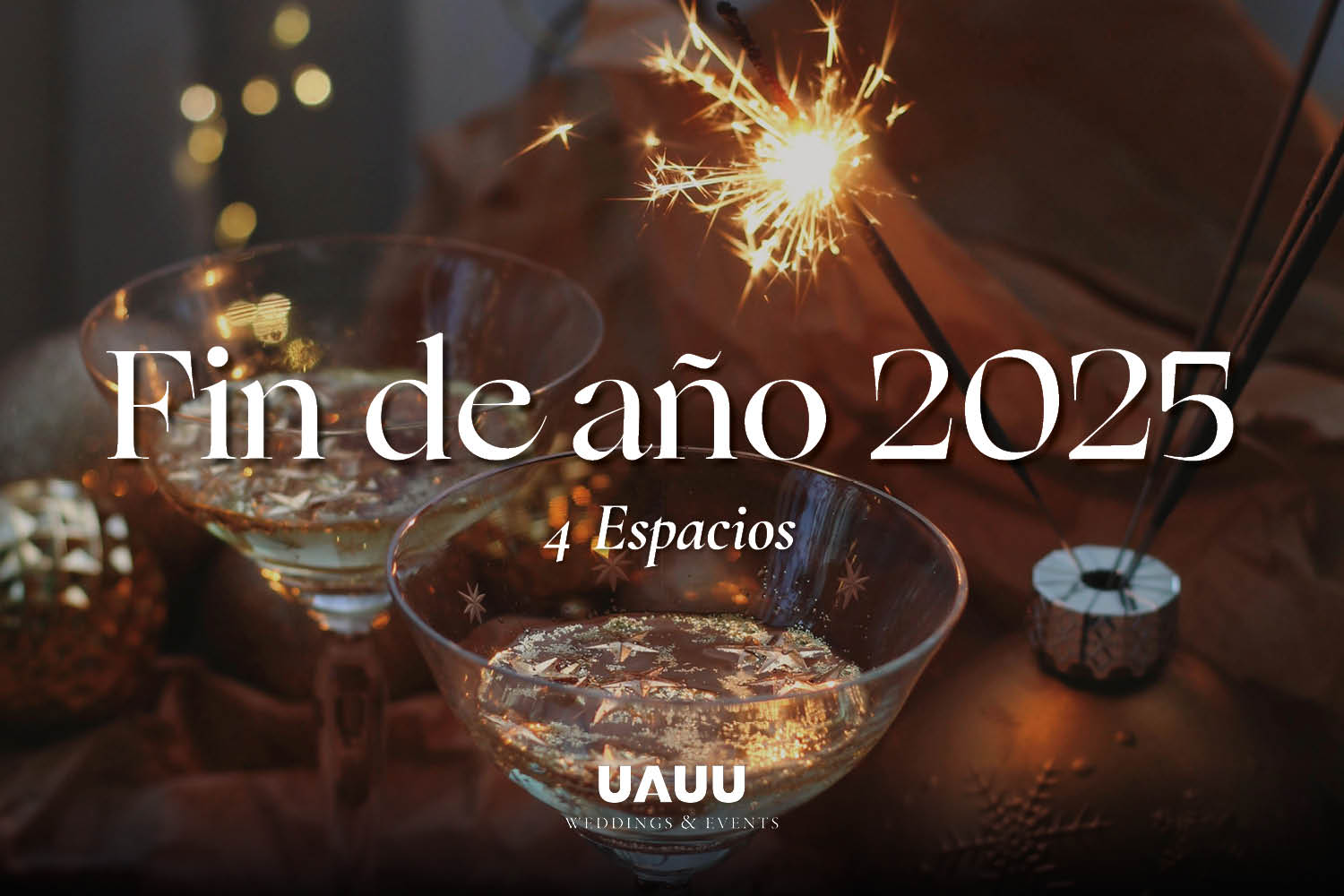 Fin de año 2025