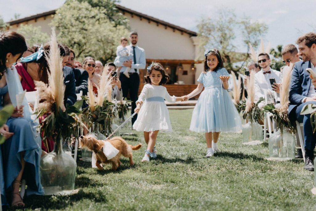 Entrega anillos de boda